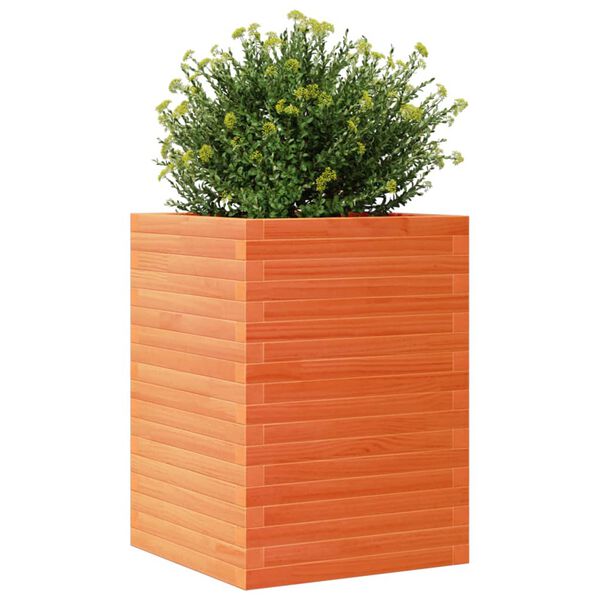 vidaXL Jardinera madera maciza de pino marr&oacute;n cera 50x50x68,5 cm