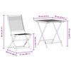 vidaXL Conjunto de Bistro Plegable 3 pcs Marrón