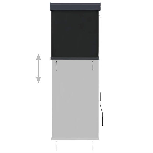 vidaXL Estor enrollable de exterior gris antracita 60x250 cm