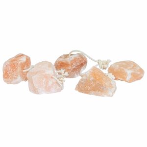 vidaXL Piedras de Sal para Lamer Rosa Sal de Roca