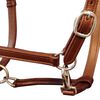Ronzal/Cabestro de Cuero Marr&oacute;n Ajustable Para Poni