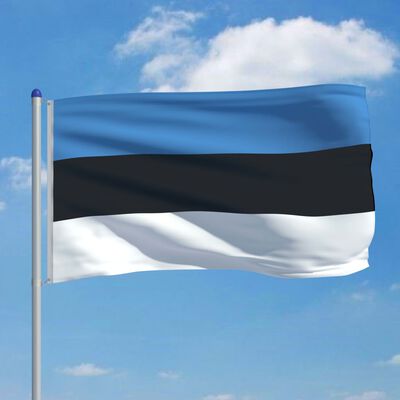 vidaXL Bandera de Estonia y mástil de aluminio 6 m
