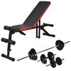 vidaXL Banco de abdominales Ajustable con barras y mancuernas 60,5 kg