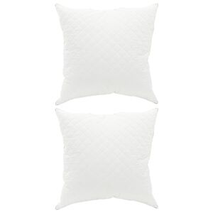 vidaXL Almohada FULDA 2 uds. 80 x 80 cm 100% Plum&oacute;n y plumas de ganso