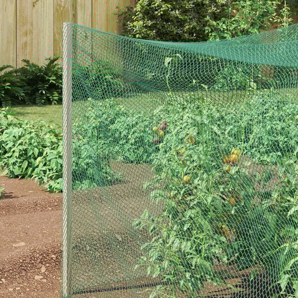 vidaXL Red de protecci&oacute;n para aves Verde 4 x 5 m Polietileno