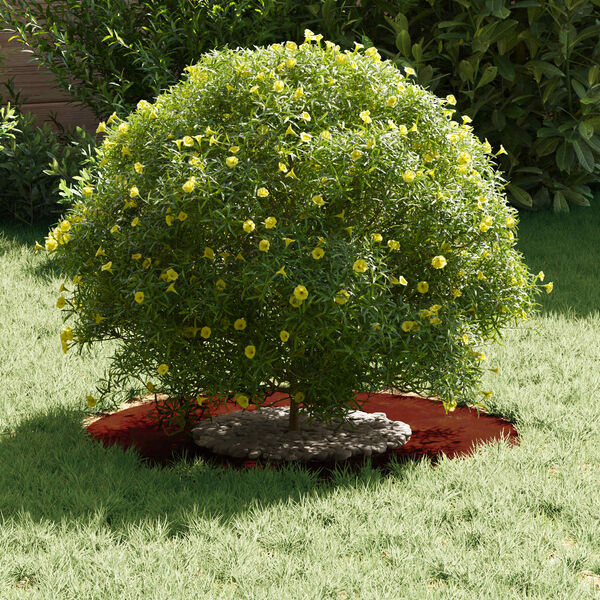 vidaXL adecuado para Anillo de &Aacute;rbol Plano Marr&oacute;n &Oslash;30 / 60 cm