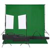 vidaXL Kit de estudio fotogr&aacute;fico con set de luces y fondo