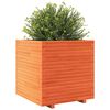 vidaXL Jardinera madera maciza de pino marr&oacute;n cera 70x70x72 cm