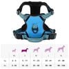 vidaXL Arnés para perros con bandas reflectantes ajustables azul S