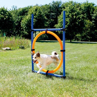 TRIXIE Aro de agilidad para perros 115x3 cm plástico 3208