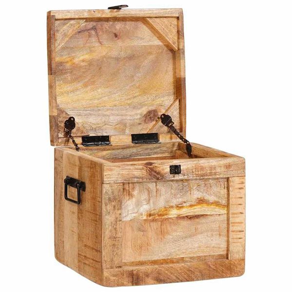 vidaXL Caja de Almacenamiento Marrón Madera de mango maciza