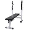 vidaXL Banco de entrenamiento de fitness y musculaci&oacute;n recto