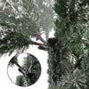 Imagen en miniatura del producto 15 de 17