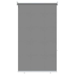 vidaXL Persiana enrollable exterior con protecci&oacute;n UV Gris Claro