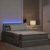 vidaXL Cama con almacenamiento y LED Gris Claro 120 x 200 cm tela