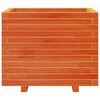 vidaXL Jardinera madera maciza de pino marr&oacute;n cera 60x60x49,5 cm