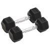 vidaXL Mancuernas 2 unidades total hierro fundido 5 kg