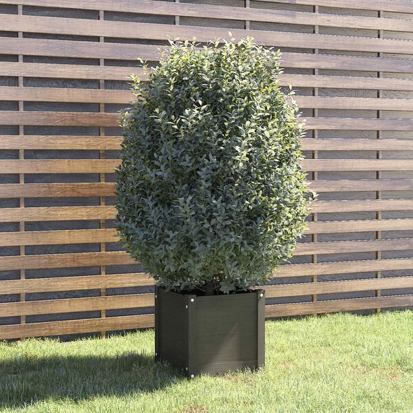 vidaXL Jardinera de madera maciza de pino gris 40x40x40 cm