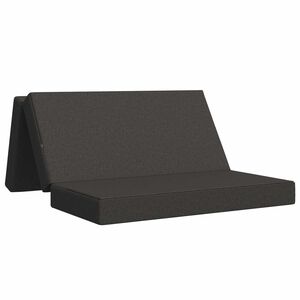 vidaXL Sof&aacute; Cama Plegable 160 x 67 x 45 cm Gris oscuro