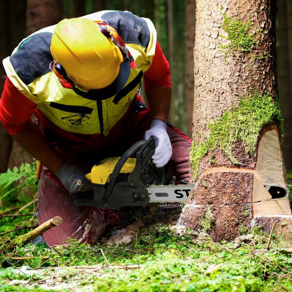 Stanley Motosierra de gasolina 1800 W