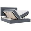 vidaXL Cama con tiras LED Gris oscuro 180 x 200 cm Terciopelo