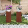 vidaXL Soporte de plantas 2 pcs Oxidado 24 x 24 x 55 cm