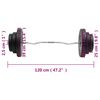 vidaXL Mancuerna curl con discos 60 kg