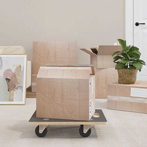 vidaXL Carritos de transporte 2 uds rectangular 50x35x11,5 cm 250 kg