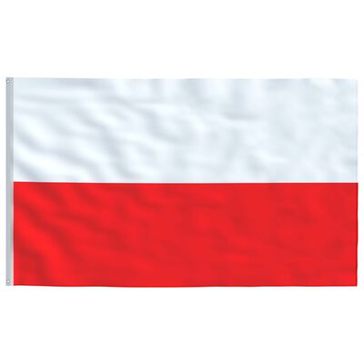 vidaXL Mástil y bandera de Polonia aluminio 5,55 m