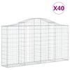 vidaXL Cestas gaviones 40 uds forma de arco hierro 200x30x100/120 cm