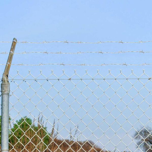 vidaXL Alambre de p&uacute;a Plateado 50 m