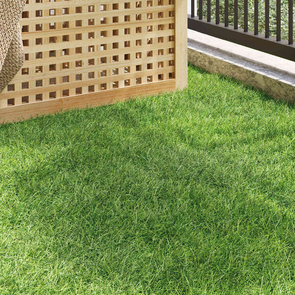 Mostrando imagen del producto 3 de 10