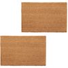 vidaXL Felpudo de fibra de coco color natural 2 unidades 24mm 40x60cm