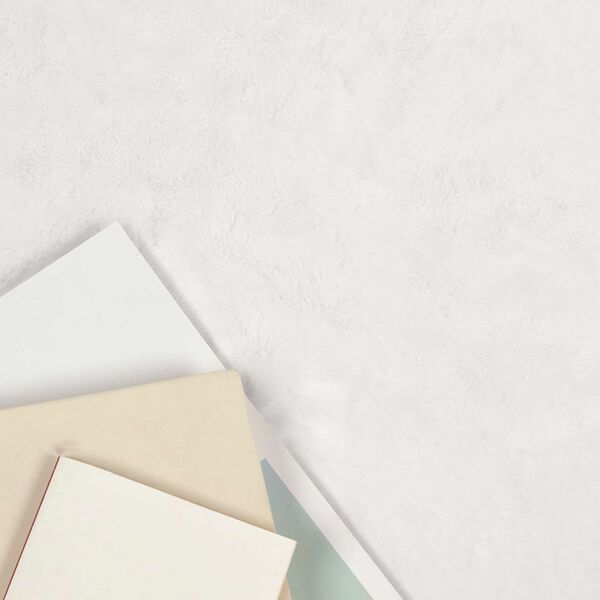 vidaXL Alfombra de Piel Sintética de Conejo Olite 80 x 200 cm