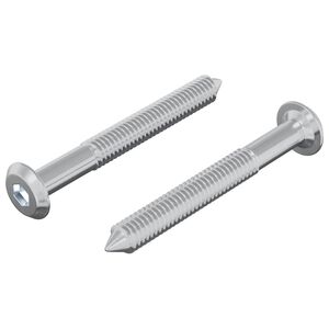 vidaXL Tornillo 2 pcs Plateado M6 x 50 mm Acero