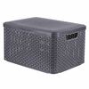 Curver Caja de almacenamiento con tapa Style L plata metalizada 30 l