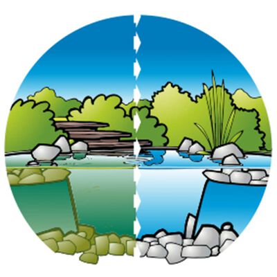 Ubbink Tratamiento para agua de estanque Aqua Clear 500 ml