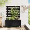 vidaXL Jardinera con estanter&iacute;a madera maciza pino negro 79x39,5x114cm