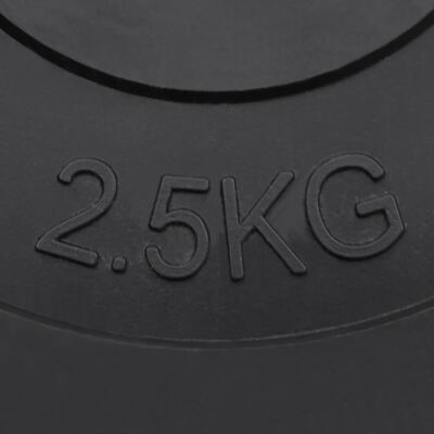 vidaXL Discos de pesas 6 piezas cemento 30 kg