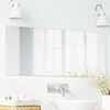vidaXL Espejo de pared Rectangular 40 x 100 cm vidrio templado