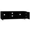 vidaXL Mueble para TV madera contrachapada negro 120x40,5x35 cm