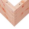 vidaXL Jardinera madera maciza de abeto Douglas 70x70x45,5 cm