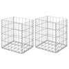 vidaXL Cestas de gaviones, 2 unidades, acero galvanizado, 30x30x40 cm