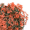 Imagen en miniatura del producto 6 de 8