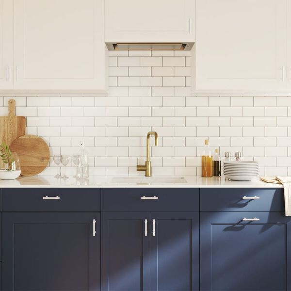 vidaXL Tiradores para armarios 20 uds acero inoxidable plateado 64 mm