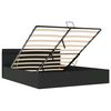vidaXL Cama hidráulica almacenaje LED sin colchón negro 160x200 cm