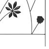 Imagen en miniatura del producto 8 de 9