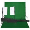 vidaXL Kit de estudio fotogr&aacute;fico con set de luces y fondo