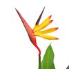 vidaXL Planta strelitzia reginae ave del para&iacute;so artificial 66 cm