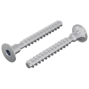 vidaXL Tornillo 2 uds. Recubierto de zinc 5 x 40 mm Hierro